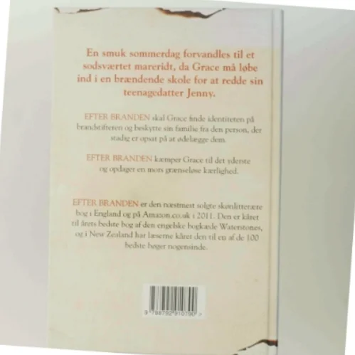 Efter branden af Rosamund Lupton (Bog)
