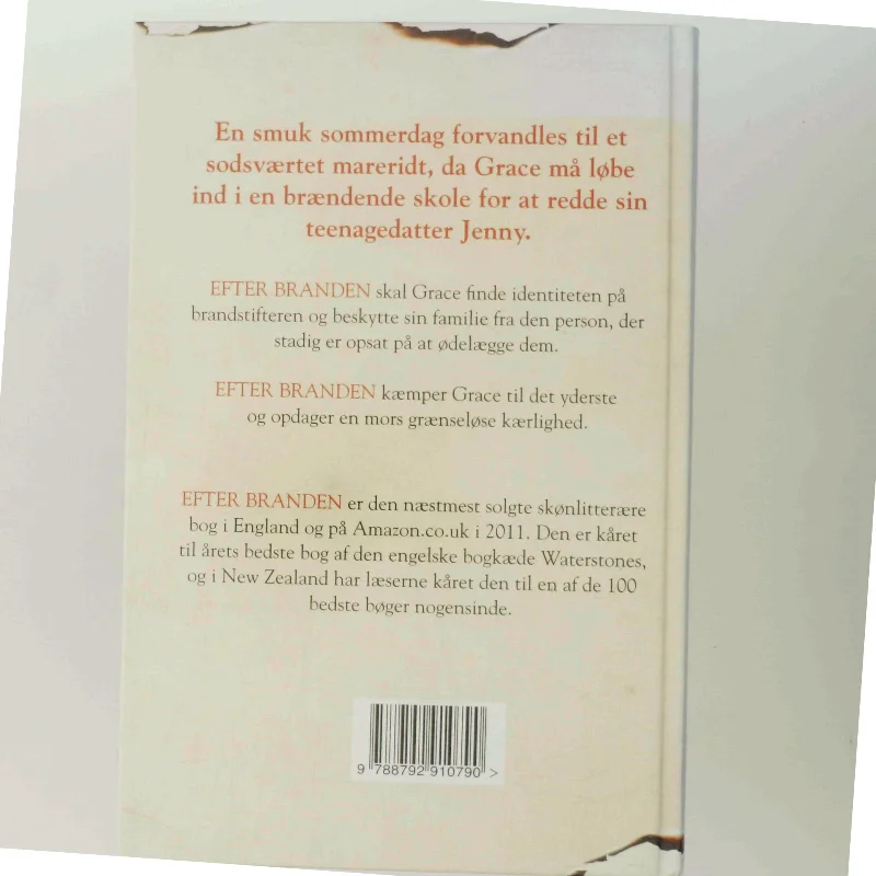 Efter branden af Rosamund Lupton (Bog)