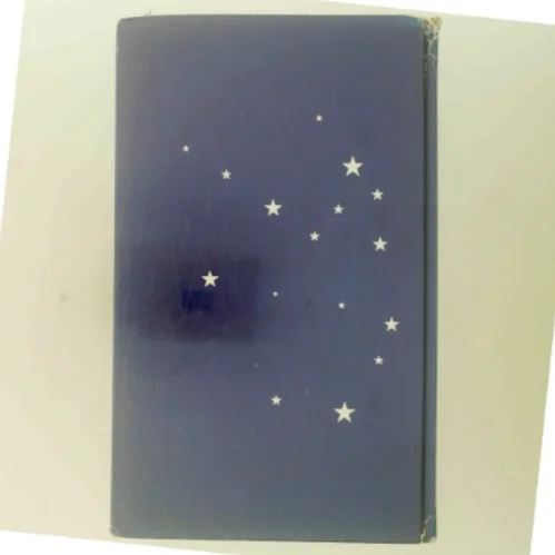 Kærlighed og mørke af Isabel Allende (Bog)