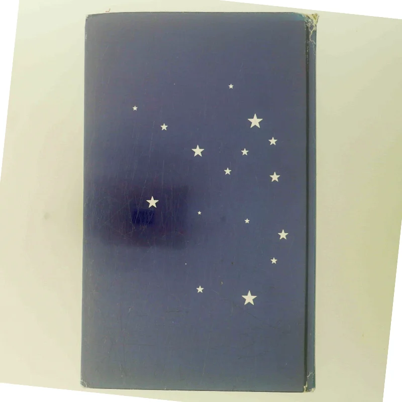 Kærlighed og mørke af Isabel Allende (Bog)