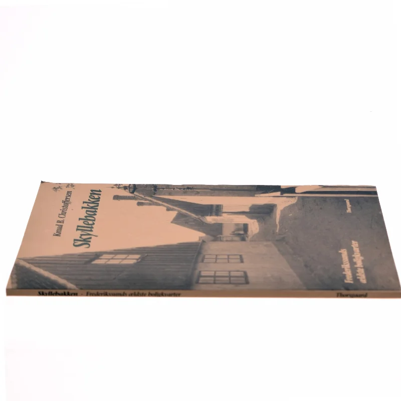 Skyllebakken bog fra Thorsgaard