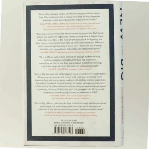 New to Big af David Kidder, Christina Wallace (Bog)