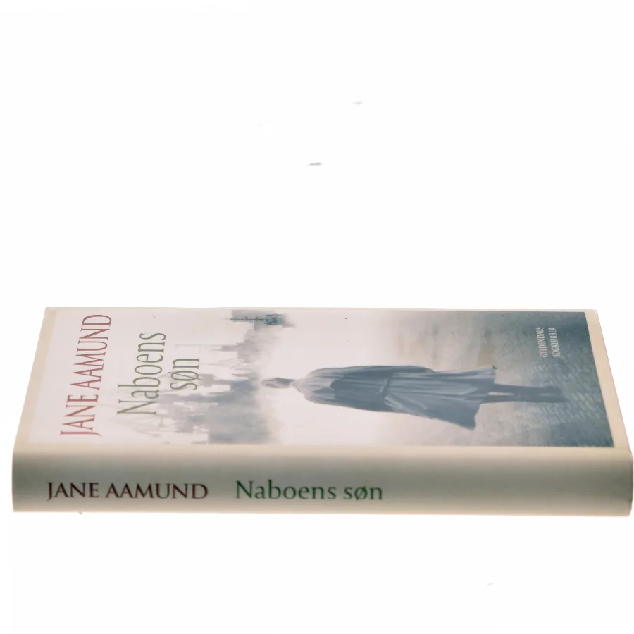 Naboens søn : roman af Jane Aamund (Bog)
