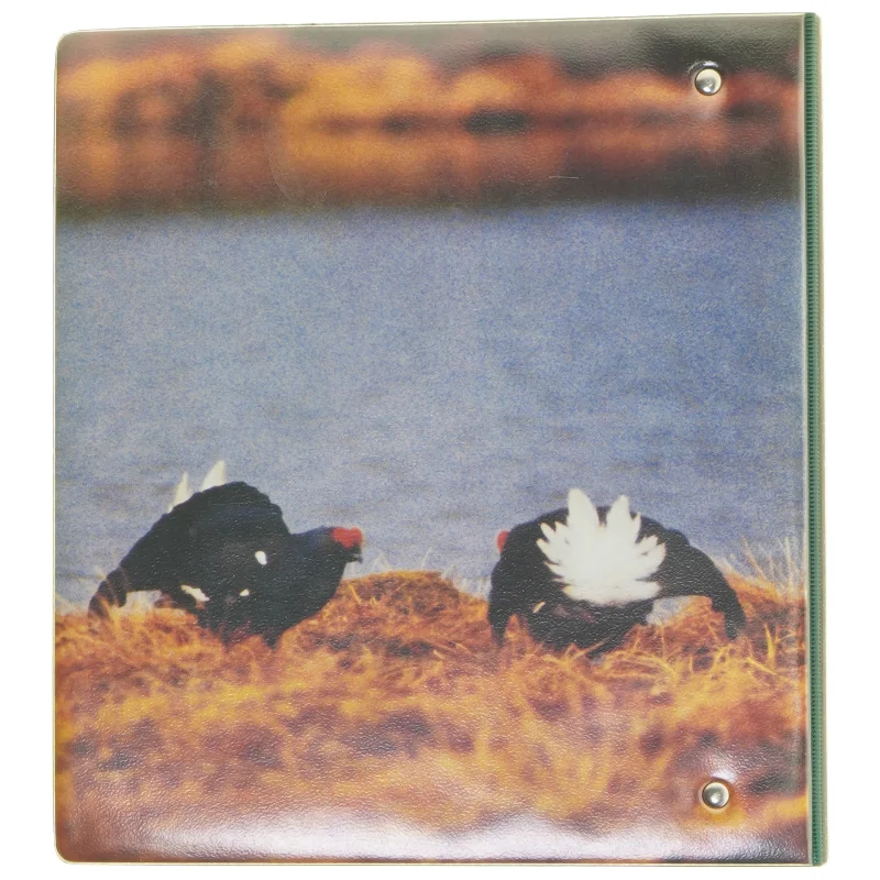 Ringbind med jagtinformation