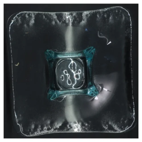 Glas skål (str. 20x20x6 cm)