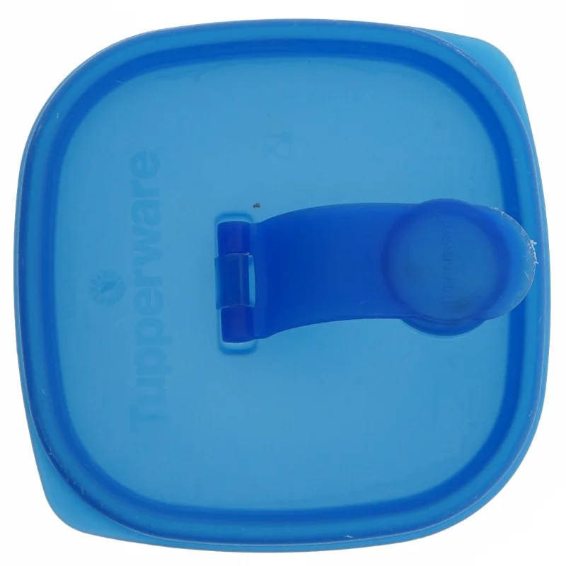 Plastbeholder med låg fra Tupperware (str. 26 cm)