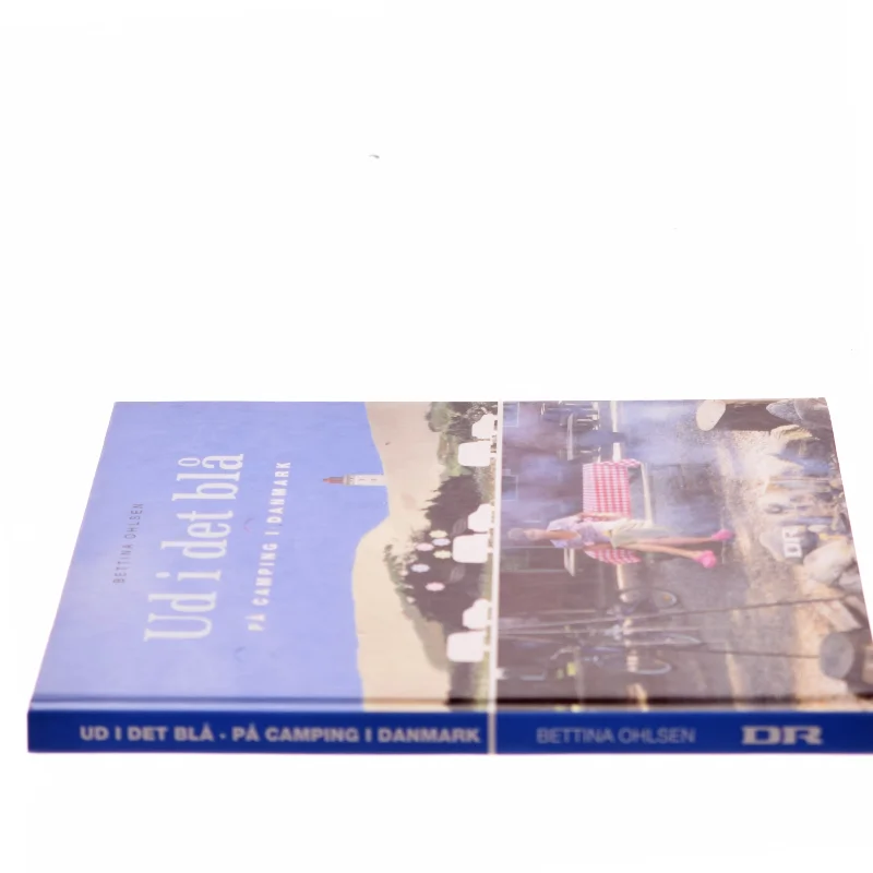 Ud i det blå : på camping i Danmark af Bettina Ohlsen (Bog)