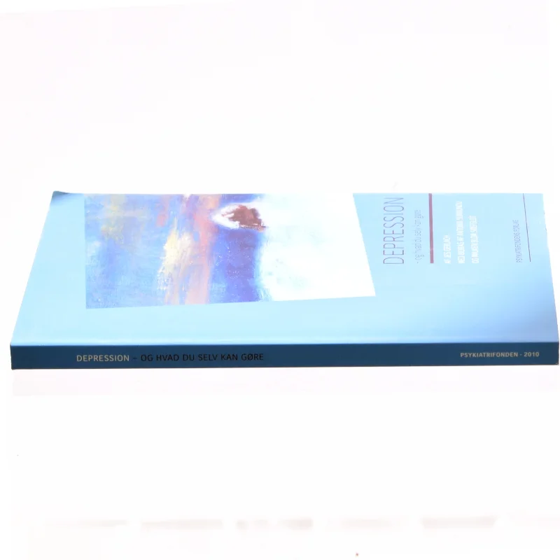 Depression - og hvad du selv kan gøre af Jes Gerlach, Antonia Sumbundu, Majken Blom Søefeldt, Psykiatrifonden (Bog)