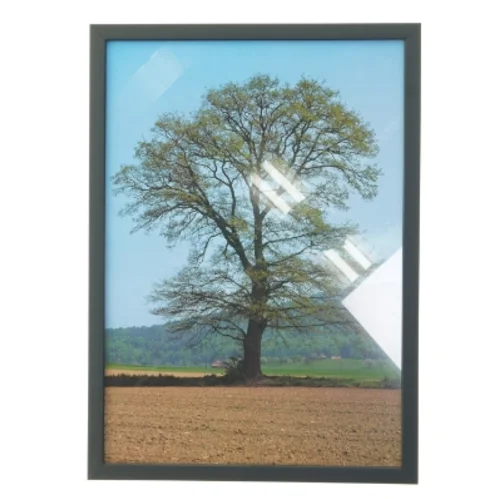 Indrammet billede af et træ (str. 29,8x42 cm)