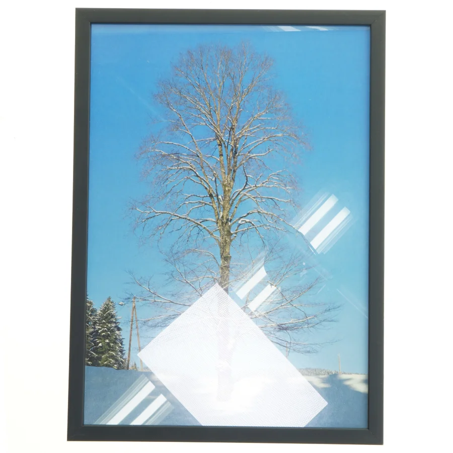Indrammet billede af vintertræ (str. 29,8x42 cm)