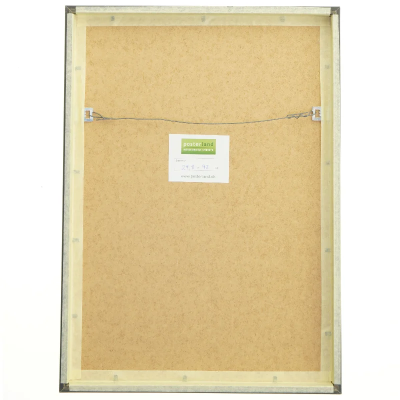Billedramme med plakat (str. 29,8x42 cm)