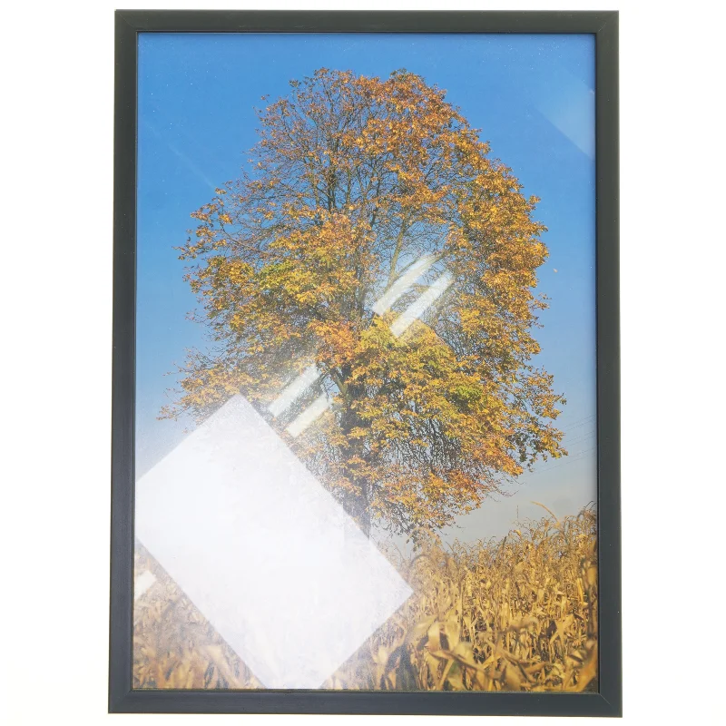 Billede med ramme af et træ i efterårsfarver fra Posterland (str. 30x42 cm)