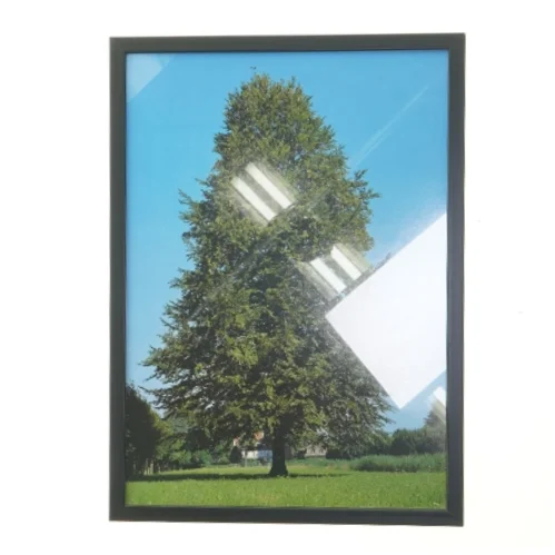 Billedramme med naturmotiv fra Posterland (str. 30x42 cm)