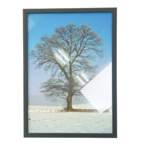 Indrammet billede af et træ fra Posterland (str. 29,8x42 cm)