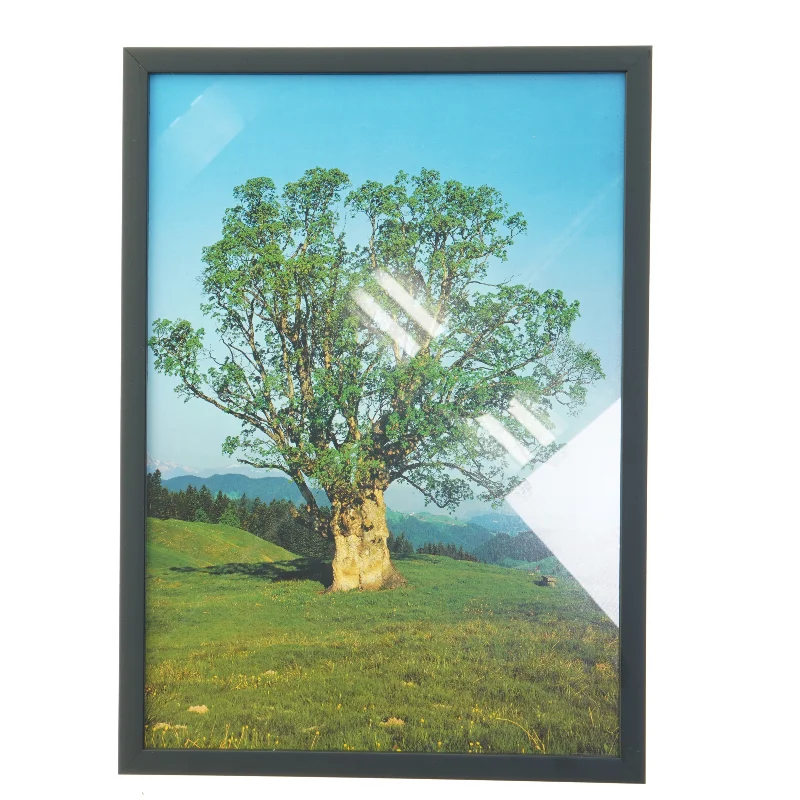 Billede med ramme af træ (str. 29,8x42 cm)