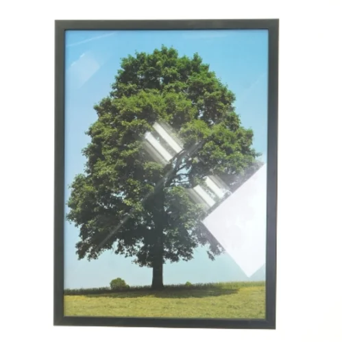 Plakat med træmotiv fra Posterland (str. 30x42 cm)