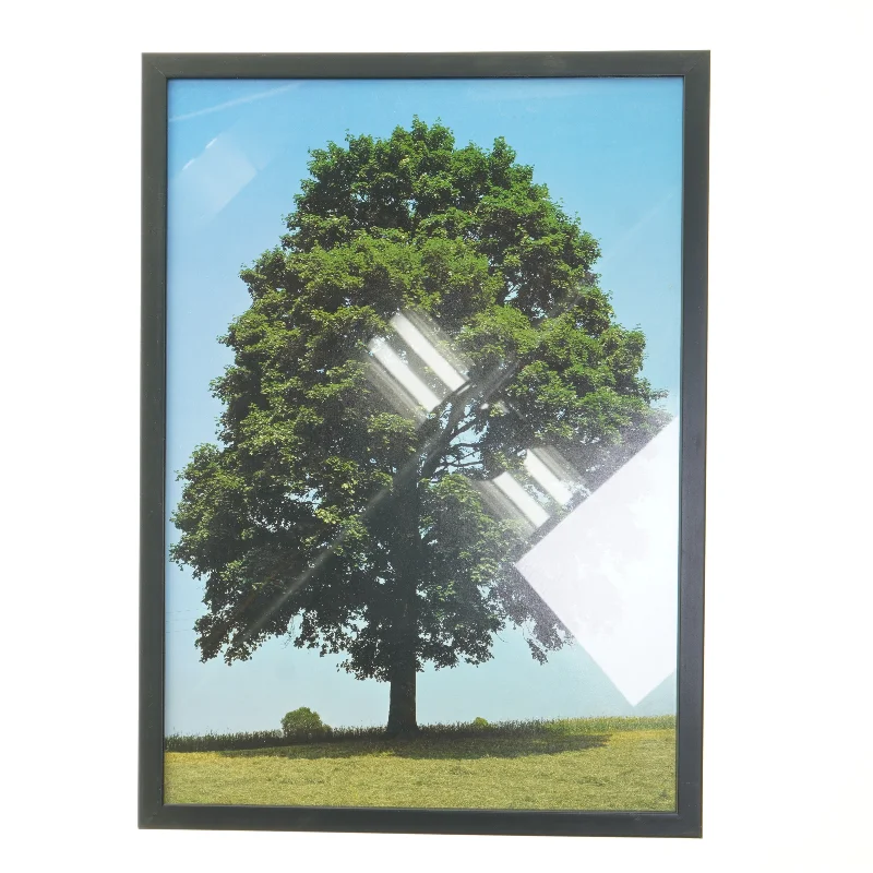 Plakat med træmotiv fra Posterland (str. 30x42 cm)