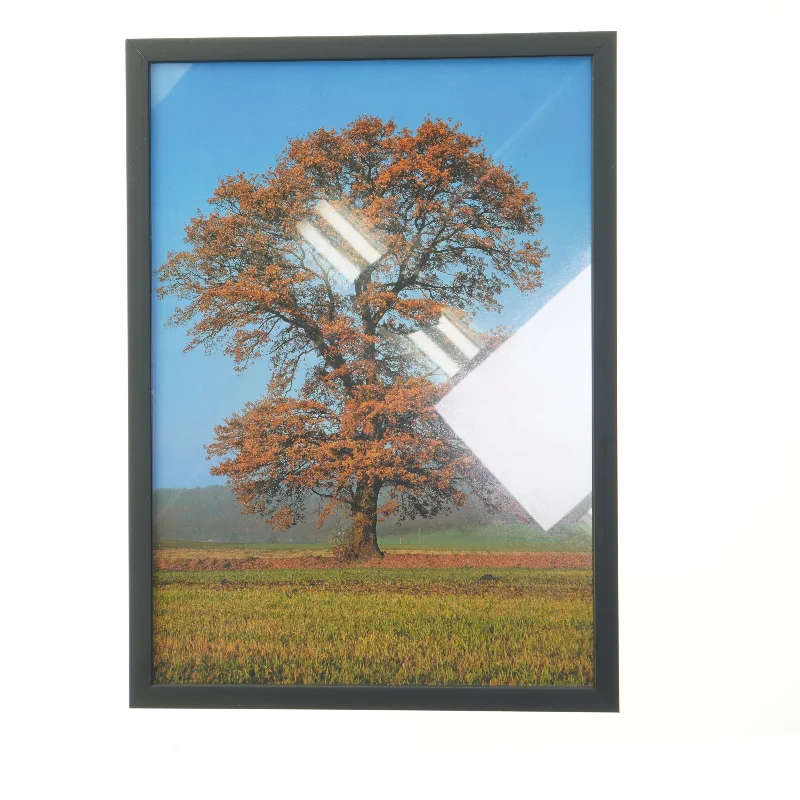 Plakat i sort ramme (str. 29,8x42 cm)