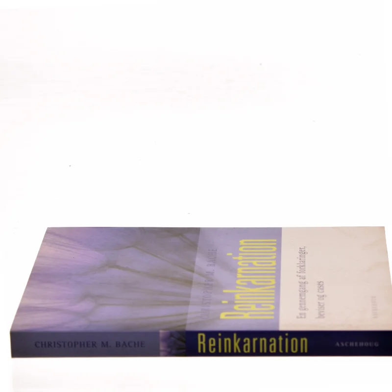 Reinkarnation af Christopher M. Bache (Bog)