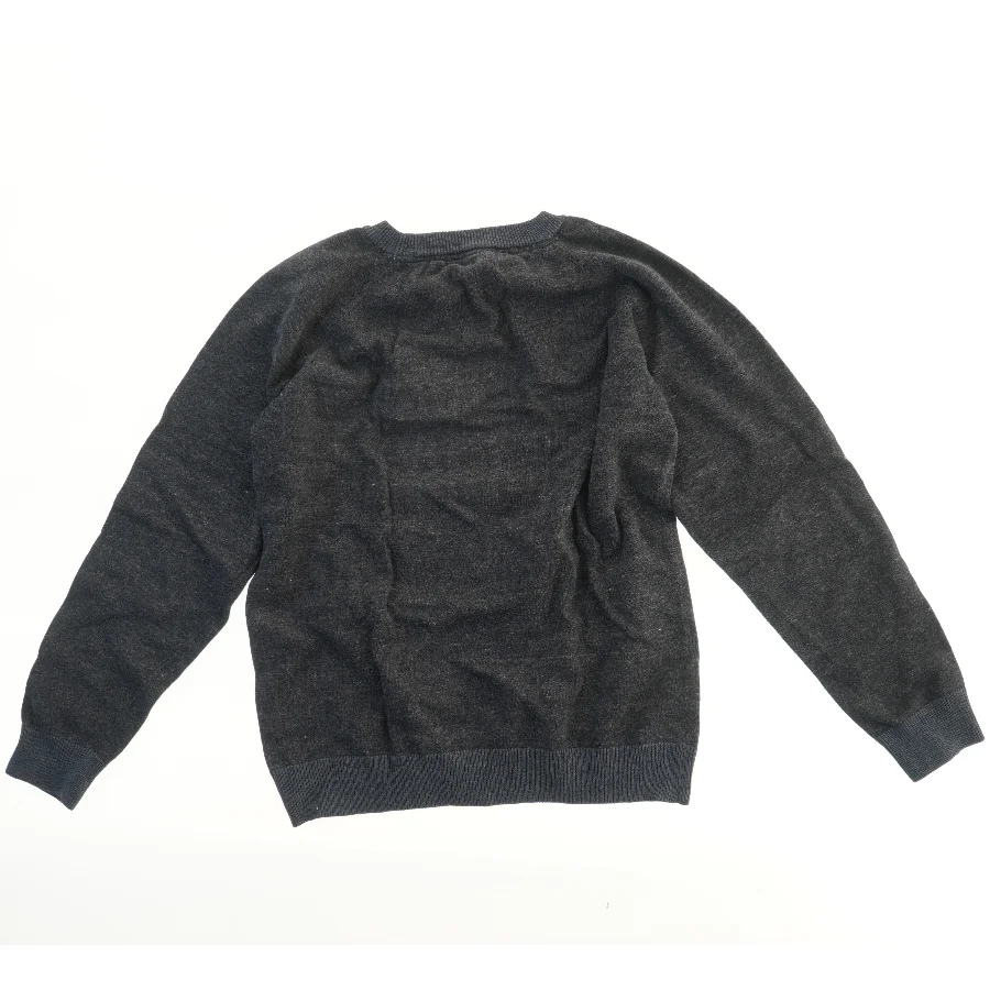 Sweatshirt i grå nuancer fra Another (str. 164)