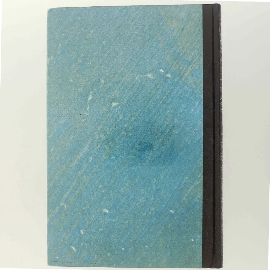 Natarbejde af Irwin Shaw (Bog)