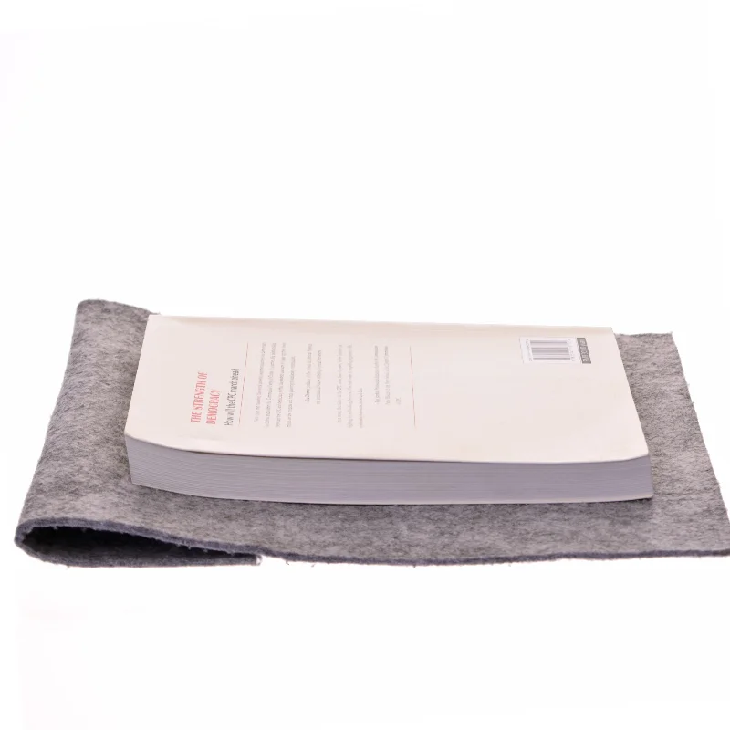 The Strength of Democracy af 林良旗 (Bog)