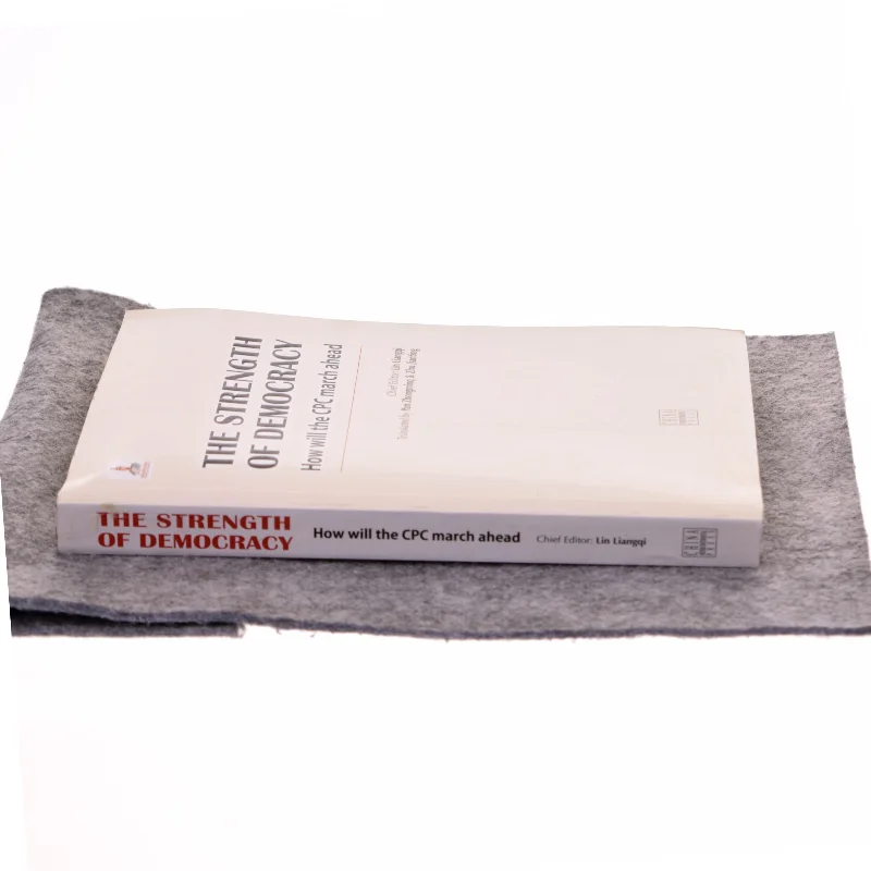 The Strength of Democracy af 林良旗 (Bog)