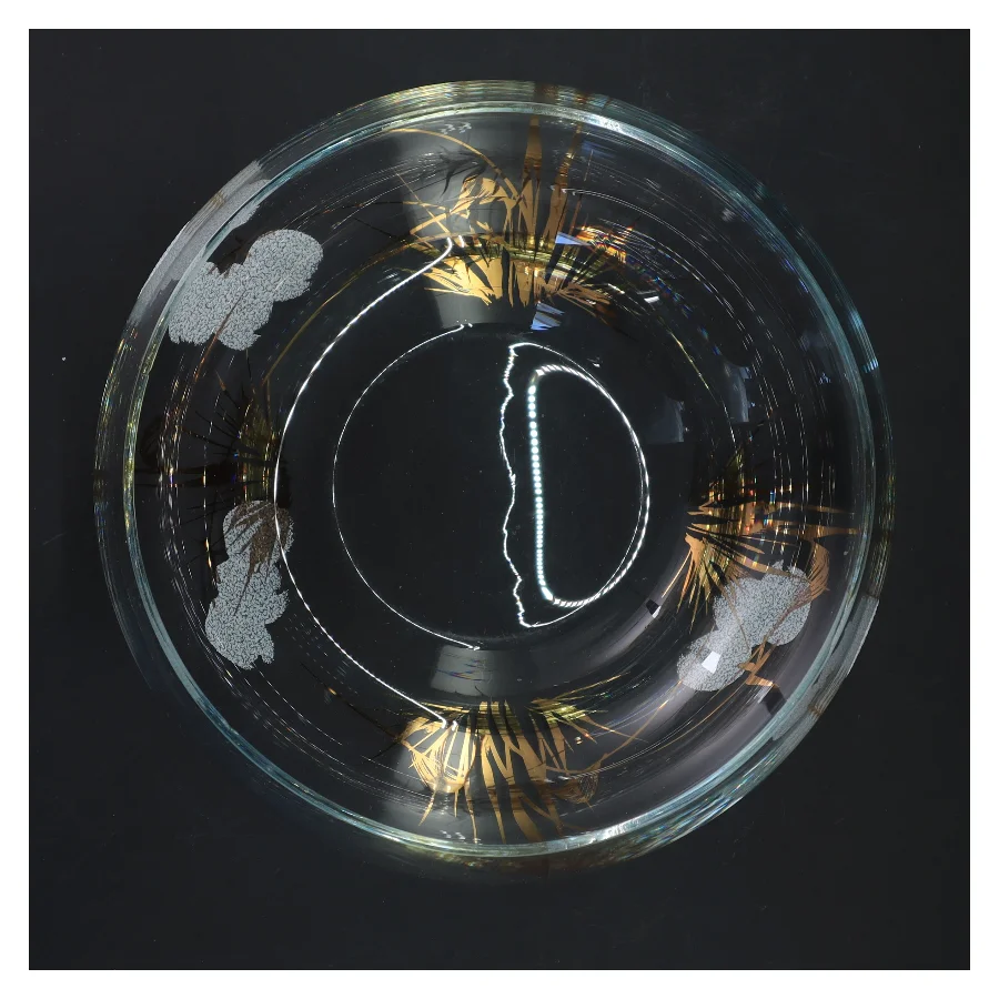 Dekorativ glas skål med bladmønster (str. Ø 20 cm)