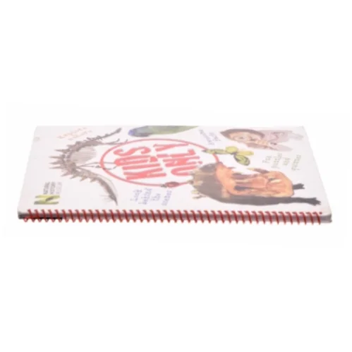 Kids only : a children's guide (Bog)