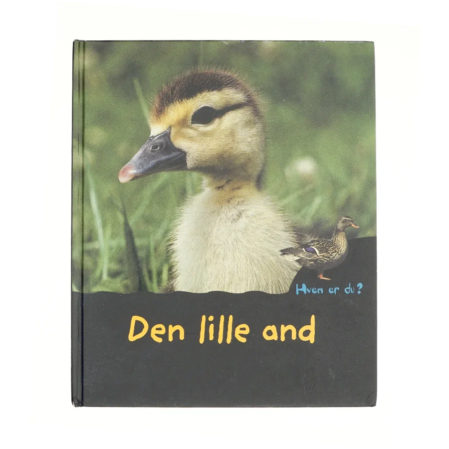 Den lille and