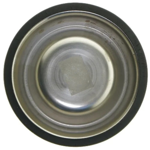 Rustfri stålfoderskål til kæledyr (str. Ø 15 cm)