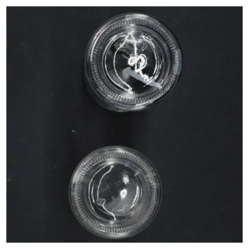 Olie- og eddikeflaske med sprayfunktion (str. 17x5 cm)