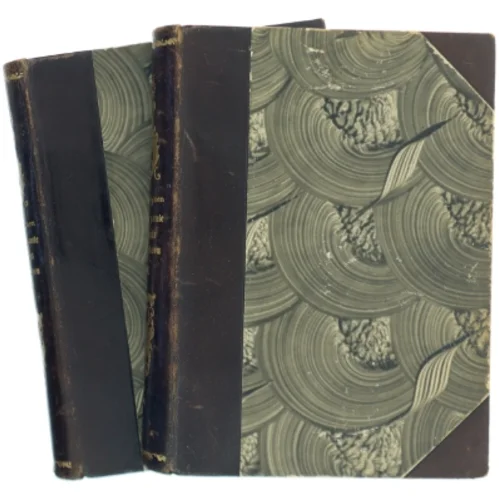 Fra det gamle Kongens Kjøbenhavn