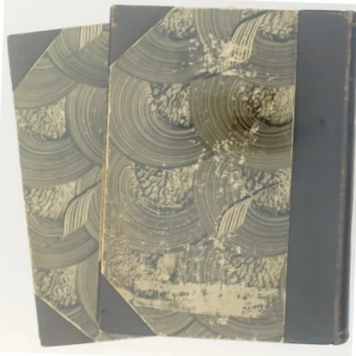 Fra det gamle Kongens Kjøbenhavn