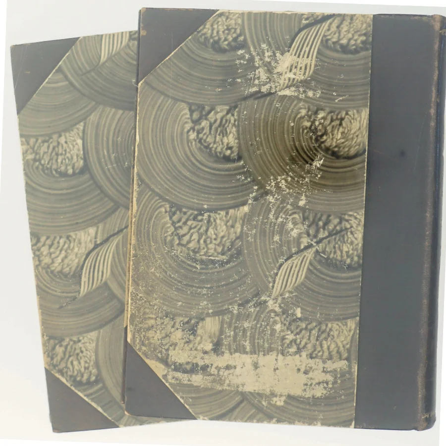 Fra det gamle Kongens Kjøbenhavn