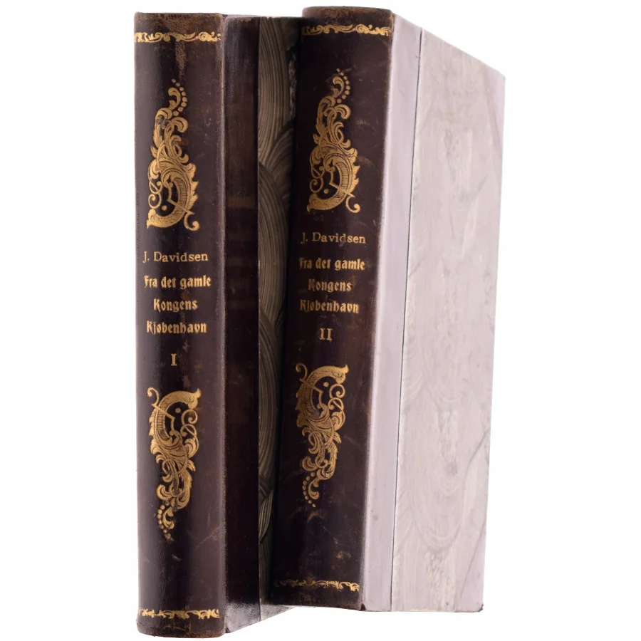 Fra det gamle Kongens Kjøbenhavn